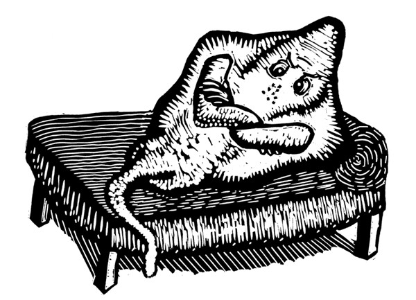 bedrog